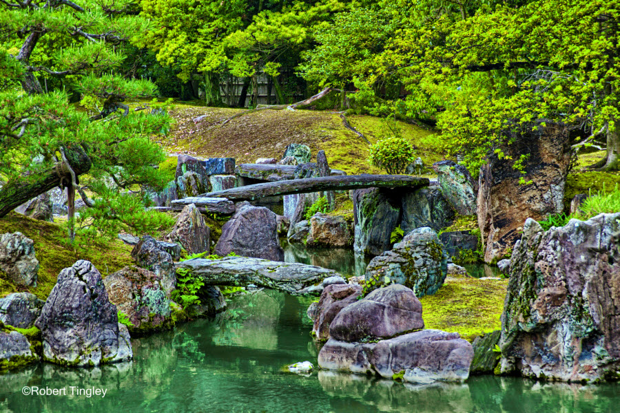 Kyoto #4544